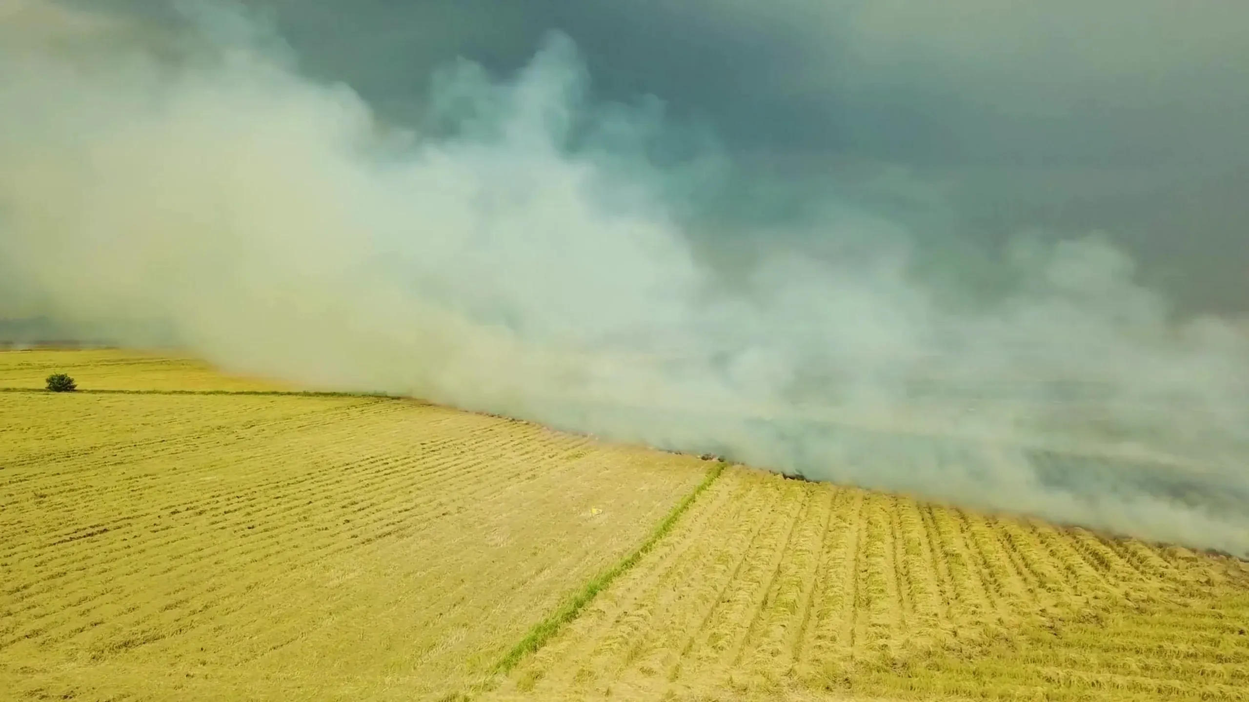 Age Legacy QC - Climate technology